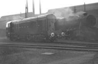 An almost new EE Type 1 stands alongside a not-so-new Stanier 8F outside the appositely named Grimesthorpe shed, Sheffield, in the spring of 1961. The shed, then coded 41B, had only a short time left at this point with official closure coming in September of that year (although it continued in use as a  stabling point for a time pending completion of the new 'super-shed' at Tinsley). Grimesthorpe shed was  eventually demolished in 1963. In the background stand the chimneys of the Cammell Laird Grimesthorpe works, closed in the 1980s.<br><br>[K A Gray 19/03/1961]