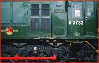 Detail of D3733 at St Margarets in May 1959. The locomotive was one of a batch of 6 of the class which had recently arrived off the line at Crewe Works.<br><br>[A Snapper (Courtesy Bruce McCartney) 02/05/1959]