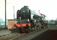 A1 Pacific no 60162 <I>Saint Johnstoun</I> photographed on its home shed at 64B Haymarket on 28 March 1959. <br>
<br><br>[A Snapper (Courtesy Bruce McCartney) 28/03/1959]