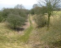 Trackbed of the Northumberland Central Railway from Rothbury to Scotsgap North of Cambo. The view is north towards Rothbury in March 2010.<br><br>[Alistair MacKenzie 22/03/2010]