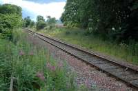 The site of the former Clunes station looking north.<br><br>[Ewan Crawford 18/07/2004]