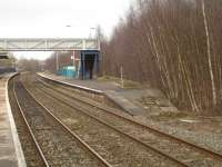 Northerly view of former southbound island platform at Whitchurch Station showing extensive tree growth on former platform line and adjacent sidings area. [See image 54090] for the view ten years earlier before tree growth had taken a firm hold.<br><br>[David Pesterfield 23/03/2010]