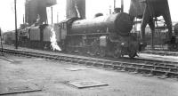 Shed scene at Leicester Midland (15C) in May 1961. Nearest the camera is B1 4-6-0 no 61182 of March shed (31B), whose locomotives had taken over Leicester - Peterborough workings following closure of Peterborough's Spital Bridge shed (31F) two years earlier. The long building in the right background on the other side of the Midland main line is the Leicester National Carriers depot.<br><br>[K A Gray 13/05/1961]