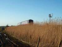 Just beyond the deep cutting at Weeton the line to Blackpool North runs onto a low embankment covered with reeds. These are lit by the evening sun as Sprinter 156487 heads east with a Northern Rail service for Liverpool.  <br><br>[Mark Bartlett 07/04/2010]