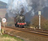 Having completed its work on the GBIII railtour, no 61994 <I>The Great Marquess</I> and support coach head back to Thornton Yard on 13 April. Photographed here passing Springfield.<br><br>[Brian Forbes 13/04/2010]