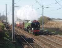 A glorious morning at Hest Bank as A1 Pacific 60163 approaches the level crossing with the <I>Cumbrian Coast Tornado</I> excursion, running about thirty minutes late. It has been a steamy start to 2010 on the West Coast Main Line in the North West with more specials planned as the year progresses. 60163 was booked to take the coast line to Carlisle via Workington and then return on the Settle and Carlisle. <br><br>[Mark Bartlett 14/04/2010]