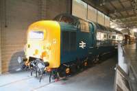 Gleaming Deltic 55002 <I>The Kings Own Yorkshire Light Infantry</I> stands alongside the workshops at the National Railway Museum, York on 25 March 2010. Good progress continues on restoration of the locomotive to full running order.<br>
<br><br>[John Furnevel 25/03/2010]