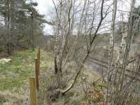 Looking over the site of Rothiemay station (closed May 1968) on 17 April 2010 [see image 28546]. Nothing exists at the location today other than remnants of the up platform and, thankfully, the telegraph poles which helped position my shot.<br><br>[John Williamson 17/04/2010]