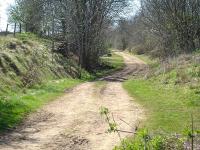 View South West along the trackbed of former Midland & South West Junction route towards Cirencester, seen from alongside the former level crossing over the A429 Fosse Way.<br><br>[David Pesterfield 17/04/2010]