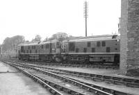 A pair of type 2s on shed at Inverness in 1963 with D5116 on the left.<br><br>[Colin Miller //1963]