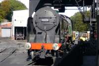 Schools Class 4-4-0 no 30926 <I>Repton</I> being coaled at Grosmont shed on 28 September 2009.<br><br>[Colin Miller 28/09/2009]