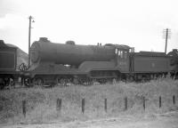 Robinson D11 no 62693 <I>Roderick Dhu</I> stands with other stored locomotives in the sidings at Polmont shed in September 1959. The locomotive was officially withdrawn from Haymarket more than 2 years later in November 1961 and eventually cut up at Connel's Yard, Calder, in March of 1963.  <br><br>[Robin Barbour Collection (Courtesy Bruce McCartney) 27/07/1959]