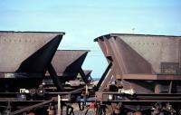 Massed ranks of redundant HAA coal hoppers at Falkland Yard, Ayr, on 19th March 2010.<br><br>[David Spaven 19/03/2010]