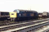 Former Haymarket Class 40, 40063, stands in Ladywell sidings at Preston towards the end of its working life. It was one of the early locos given new front ends with four character headcode boxes by 64B for ECML work replacing the original nose doors and discs. These were distinguishable from later production locos by the square edged headcode boxes. Withdrawn the following April it was cut up at Vic Berrys in Leicester in 1987. <br><br>[Mark Bartlett /08/1983]