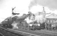 The BR (Scottish Region) <I>Last B1 Excursion</I> stands at Kilmarnock on 3 December 1966 behind 61278. The train travelled from here to Carlisle on the G&SW, returning to Edinburgh via the Waverley route.<br><br>[K A Gray 03/12/1966]