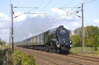 60019 <I>Bittern</I> approaches St Germains level crossing with <I>The Coronation</I> Edinburgh - York - London Kings Cross charter on 17 May 2010. 47760 is bringing up the rear.<br><br>[Bill Roberton 17/05/2010]