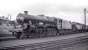 An immaculate looking Jubilee 4-6-0 no 45665 <I>Lord Rutherford of Nelson</I> stands at the head of a lineup at 67A Corkerhill shed circa late 50s/early 60s.<br><br>[K A Gray //]