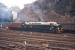 One of a batch of 18 new EE Type 4 locomotives delivered to Gateshead MPD just a few days earlier, no D243 makes an appearance at Waverley on 9 April 1960 with the up <I>Flying Scotsman</I>. Is that a bullion coach immediately behind the locomotive? [With thanks to Bill Jamieson]  Update - from Dave Franks 'the coach behind the loco is an LNE Thompson 'matchboard' full brake built post war. It is still available as a kit in 4mm scale.'<br><br>[Frank Spaven Collection (Courtesy David Spaven) 09/04/1960]
