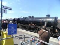 <I>The Jacobite</I> season is underway at Fort William. The photograph shows 45231 preparing to take the train on its journey to Mallaig on a warm and sunny 17 May 2010.<br><br>[John Yellowlees 17/05/2010]