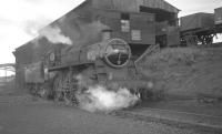 Built at Swindon in 1954, BR Standard class 3MT 2-6-0 no 77017 was allocated to Hurlford shed, where it is seen alongside the coaling stage in the early 1960s. It remained on Hurlford's allocation until its eventual withdrawal by BR in November of 1966.<br><br>[K A Gray //]