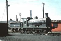 Class J36 0-6-0 no 65243 <I>Maude</I> on shed at Haymarket in the summer of 1959.<br><br>[A Snapper (Courtesy Bruce McCartney) 04/07/1959]