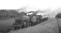 A pair of B1 locomotives, with 61404 leading 61134, working north over the Waverley route on the southern approach to Newcastleton around 1964 with the 10.15 (SO) Ditton Junction (Halewood) - Bathgate Ford cars. The train is about to pass below the (now demolished) bridge carrying the B6357 over the line [see image 29084], with Caerba Hill standing in the centre background.<br><br>[K A Gray //1964]