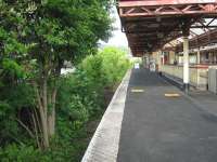 Dumbarton Central Station. The 'grew-some' abandoned through  platform looking east on 28 May. Three platforms remain in use here.<br><br>[Alistair MacKenzie 28/05/2010]