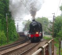 Stanier 8F 2-8-0 no 48151 attacks the steep climb south of Lancaster station on 2 June hauling the 2010 pre-season  <I>Fellsman</I> excursion from Lancaster to Carlisle via Preston and the S&C. <br><br>[Mark Bartlett 02/06/2010]
