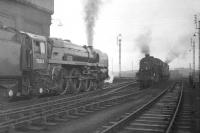 Scene on shed at Blackpool North on Boxing Day 1967 (by which time the depot had been officially closed for 3 years). In the picture are Britannia Pacific no 70013 <I>Oliver Cromwell</I> of Kingmoor, which had brought in a football excursion from Carlisle earlier that day [see image 29195], face to face with Stanier 8F 2-8-0 no 48033, latterly of Spring's Branch, Wigan, with an unidentified locomotive beyond. Blackpool North shed was eventually demolished in 1975.<br><br>[Robin Barbour Collection (Courtesy Bruce McCartney) 26/12/1967]