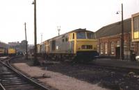 Pioneer <I>Hymek</I> D7000 and two other Class 35 diesel hydraulics in storage at Old Oak Common in 1973 while one of their replacements, a Class 31 Brush Type 2, is seen alongside. <br><br>[Mark Bartlett //1973]