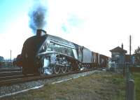 60024 <I>Kingfisher</I> runs over Floriston level crossing in the 1960s with a freight.<br><br>[Robin Barbour Collection (Courtesy Bruce McCartney) //]