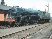 A1 Pacific no 60126 <I>Sir Vincent Raven</I> on shed at Haymarket in July 1959.<br><br>[A Snapper (Courtesy Bruce McCartney) 04/07/1959]