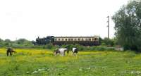 5542 with Autocoach 178 on the Mouldon Hill Extension during the Swindon and Cricklade Railway Gala day on 11 June 2010.<br>
<br><br>[Peter Todd 11/06/2010]