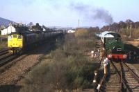 Early days on the re-opened Strathspey Railway - a pair of Type 2s with a southbound BR service ex-Inverness slows past a steam-hauled Strathspey special on the approach to Aviemore in 1974.<br><br>[Frank Spaven Collection (Courtesy David Spaven) //1974]