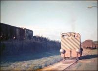 Activity at Dewars siding, just north of Perth, in 1973 (photographed by Larry Addley) showing the Ruston shunting locomotive (driven by Roy Green) on the right and a BR class 08 on the left standing on the stub of the Crieff line which remained to handle Dewars traffic. [With additional thanks to Donald Innes]<br>
<br>
<br><br>[Gary Straiton Collection //1973]