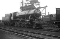 Austerity 2-8-0 no 90075 stands on Darlington shed following a visit to the works in October 1963. The locomotive carries a 40B Immingham shed plate.<br>
<br><br>[K A Gray 26/10/1963]