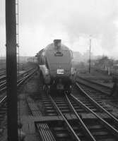 The RCTS (West Riding Branch) <I>Three Summit Tour</I> from Leeds City arrives at Carlisle on 30 June 1963 behind A4 Pacific no 60023 <I>Golden Eagle</I>. The special was taken on from here to Carstairs by 46255 <I>City of Hereford</I> [see image 22675].<br>
<br><br>[Robin Barbour Collection (Courtesy Bruce McCartney) 30/06/1963]