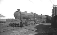 One of the Raven Q7 0-8-0s stands on 52H Tyne Dock shed around 1960. <br><br>[K A Gray //]