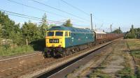 Well I wasn't expecting this! Memories of 40 years ago as the returning <I>Lakelander</I> charter to Birmingham International runs through Leyland on 19 June 2010 with WCRC 57601 on the front. On the tail on the way north had been a WCRC Class 33 but this had been replaced on the return trip by the recently acquired 47270 in BR blue and with 4 character headcode box still working.<br>
<br><br>[John McIntyre 19/06/2010]