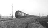 Class 40 no 284 passes the Niddrie West eastbound distant as it heads along the Sub towards Duddingston Junction with the 12.33 Millerhill to Craiginches (Aberdeen) in February 1970. This was booked as a class 7 express freight working but appears to be running as a class 6 fully fitted freight on this occasion.<br><br>[Bill Jamieson 04/02/1970]