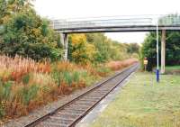 Platform view south at Alness station in September 2009. [See image 29586]<br><br>[Ewan Crawford 28/09/2009]