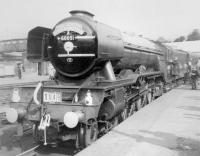 A3 Pacific no 60051 <I>Blink Bonny</I>, carrying a 52B Heaton shedplate, stands at Sheffield Midland Station on 18 April 1964 with the first leg of 1X49 <I>The South Yorkshireman No 2</I> Rail Tour to Derby and Crewe. [See Image 29666]<br><br>[David Pesterfield 18/04/1964]