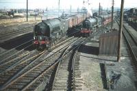 B1 no 61146 is held at the exit from Craigentinny sidings on 30 September 1959 with a train of empty coaching stock bound for Waverley. Meantime A2 Pacific no 60534 <I>Irish Elegance</I> runs past with a westbound train on the main line.<br><br>[A Snapper (Courtesy Bruce McCartney) 30/09/1959]