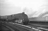 With the wooden platforms of Gateshead East station (closed 1981) in the centre and the north end of the Tyne Bridge in the background, an unidentified A4 Pacific brings a train off the High Level Bridge in the 1960s. The train has taken the right fork at High Level South Junction which will route it through Gateshead West station (closed 1965) and along the southern perimeter of Gateshead MPD to join the up ECML coming off the King Edward Bridge.  <br><br>[K A Gray //]