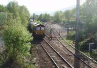 66099 waits for the Fort William Junction bracket signal to clear before moving forward to Lochaber. The short train of tanks has been drawn out of the depot on the right and set back to this point before taking the mainline. Picture taken from the old Lochaber narrow gauge railway embankment looking towards Fort William station. <br><br>[Mark Bartlett 18/05/2010]