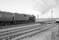 A1 Pacific no 60147 <I>North Eastern</I> photographed in April 1964, shortly after leaving Drem with the 3.48pm (SO) Edinburgh Waverley - Berwick on Tweed stopping service.<br><br>[Robin Barbour Collection (Courtesy Bruce McCartney) /04/1964]