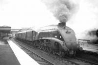 A4 Pacific no 60031 <I>Golden Plover</I> calls at Stirling on a rainy day in the 1960s with an Aberdeen - Glasgow train.<br><br>[Robin Barbour Collection (Courtesy Bruce McCartney) //]