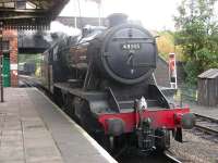 Ex-LMS 8F 2-8-0 no 48305about to couple up to her train on 26 July before heading off once more from Loughborough to Leicester North.<br>
<br><br>[Mark Poustie 26/07/2010]