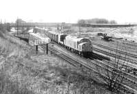 A class 40 runs through Berwick station with a northbound freight in August 1981.<br><br>[John Furnevel 10/08/1981]