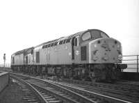 A pair of class 40s headed by no 270 comes off the Royal <br>
Border Bridge and into the down goods loop at Berwick on Tweed on 21 February 1970.<br><br>[Bill Jamieson 21/02/1970]